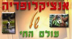 EPEDIA אנציקלופדיות ומידע